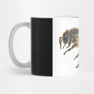 Bee Thoughtful Mug